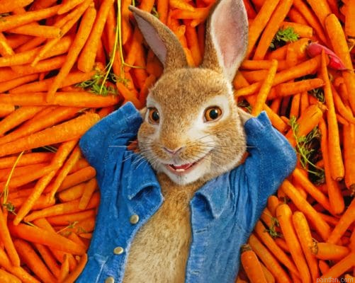 Peter Rabbit Paint By Numbers.png