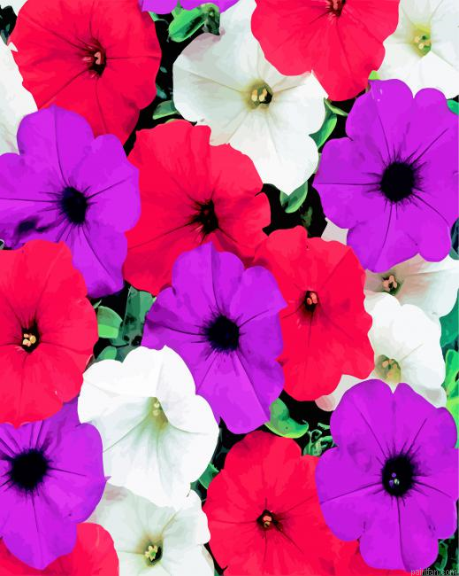 Petunia Flowering Plants Paint By Number.png