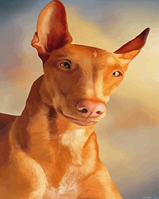 Pharaoh Hound Paint By Numbers.png