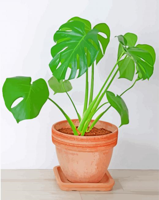 Philodendron Paint By Number.png