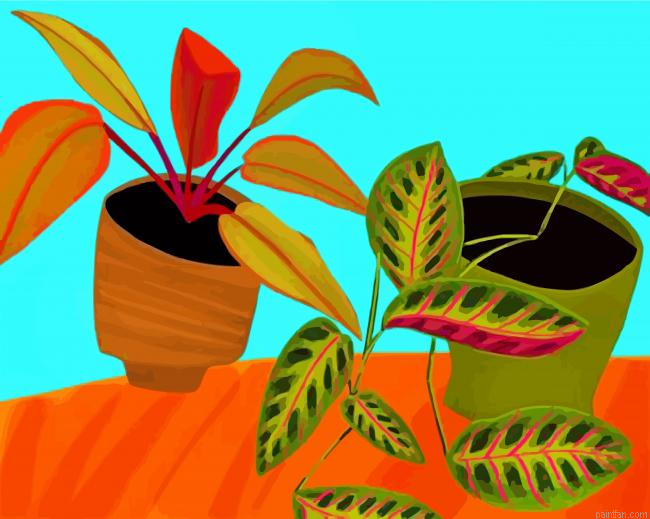 Philodendron Pots Paint By Numbers.png