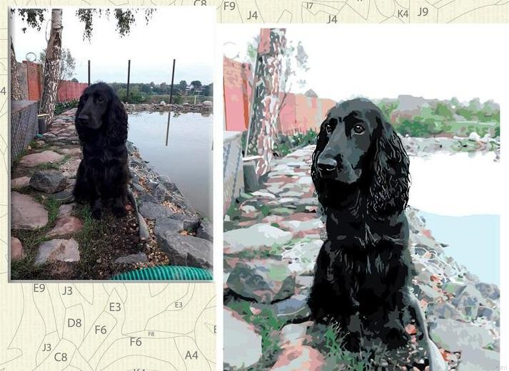 Photo Paint By Numbers.png
