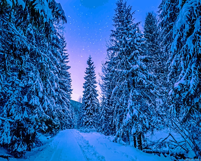 Photography Trees Covered With Snow New Paint By Numbers.png