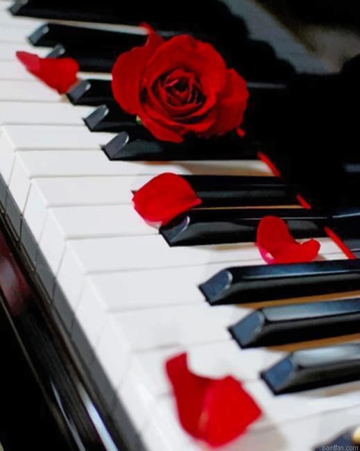 Piano And Red Rose New Paint By Numbers.png