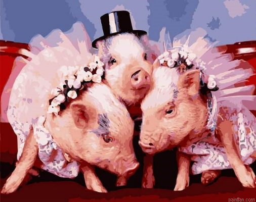 Pig Bride Paint By Numbers.png