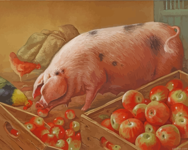 Pig Eating Apples Paint By Number.png