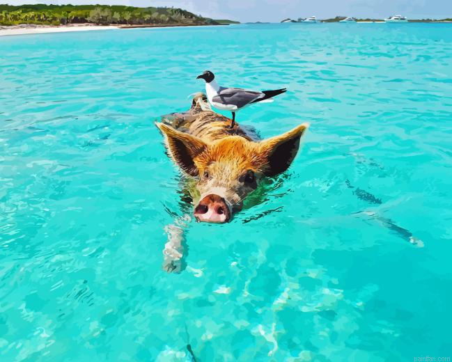Pig In The Beach Paint By Numbers.png