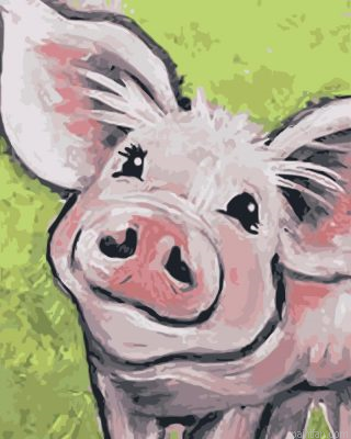 Pig Smiling Paint By Numbers.png