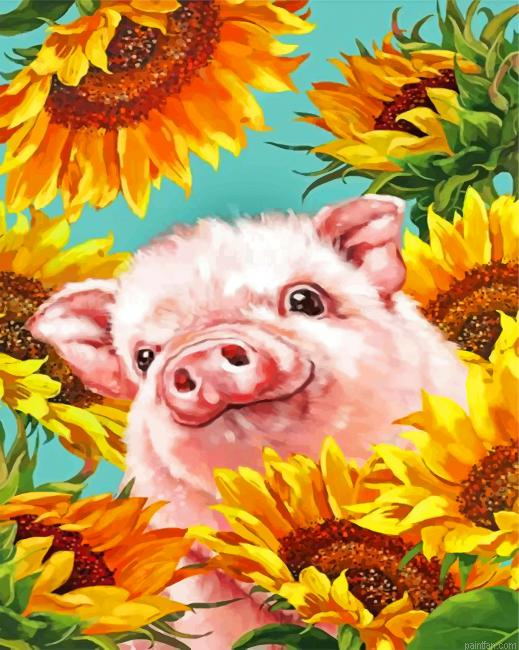 Pig With Sunflowers Paint By Number.png
