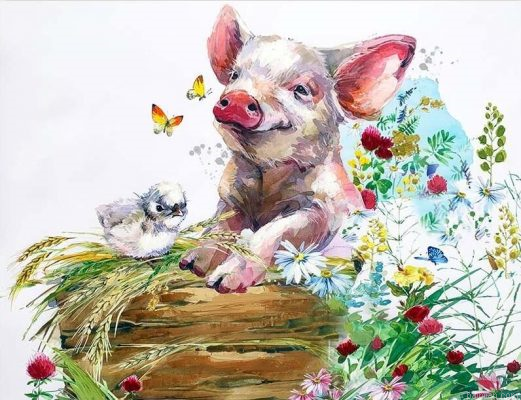 Pig And Bird Paint By Numbers.png