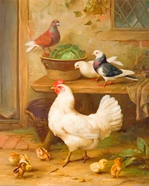 Pigeon And Chicken New Paint By Numbers.png