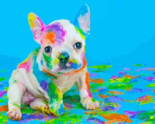 Pigment Dog Paint By Numbers.png
