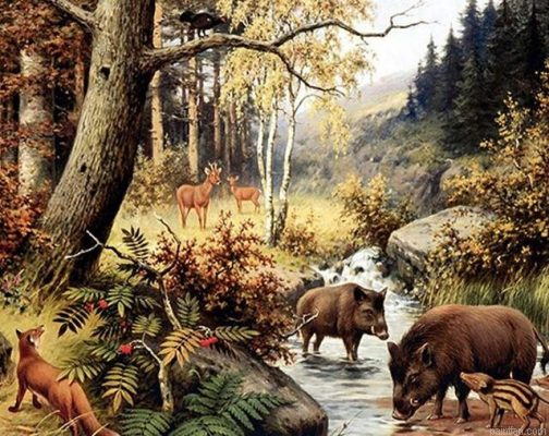 Pigs And Deers Paint By Numbers.png