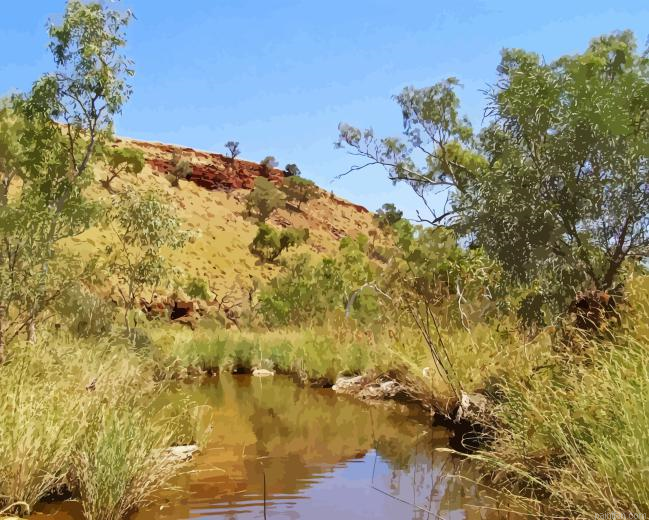Pilbara Paint By Numbers.png
