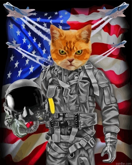 Pilot Cat Paint By Numbers.png