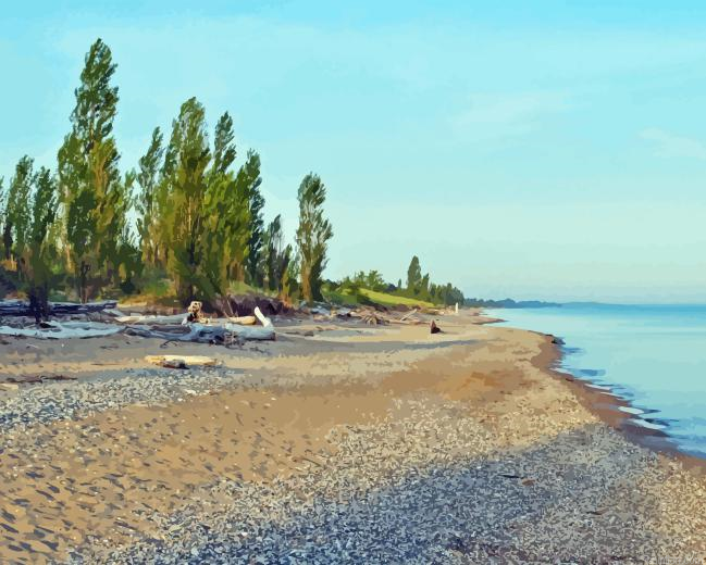 Pinery Provincial Park Paint By Numbers.png