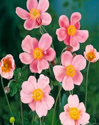 Pink Anemone Paint By Number.png