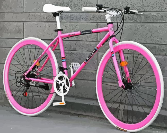 Pink Bicycle Paint By Numbers.png