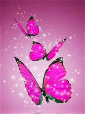 Pink Butterfly Paint By Numbers.png