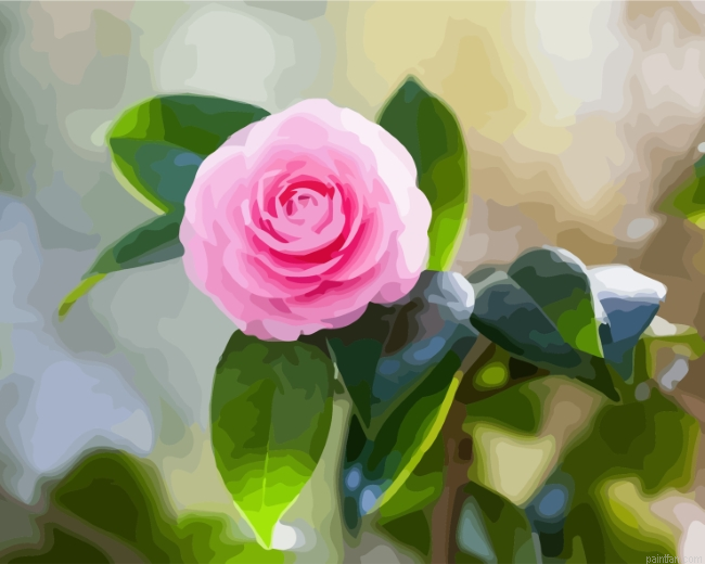 Pink Camellia Paint By Number.png
