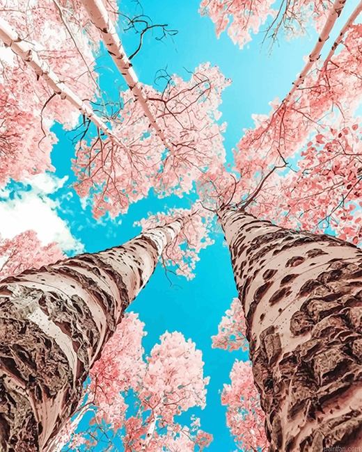 Pink Cherry Blossom New Paint By Numbers.png