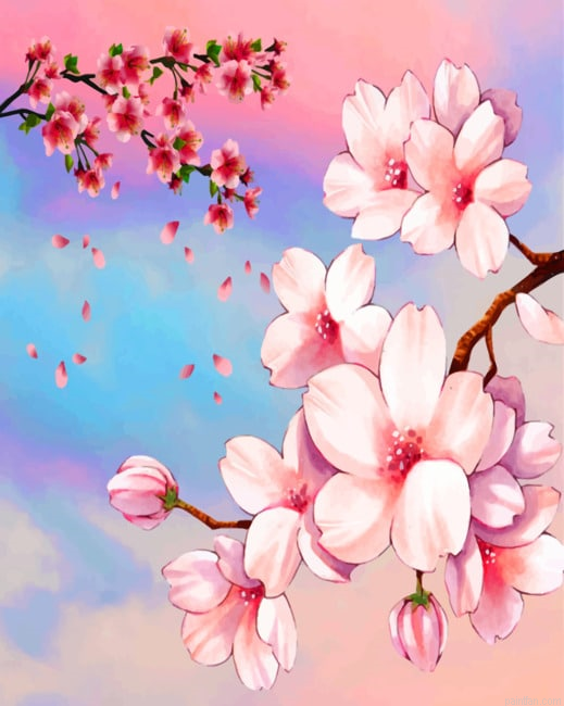 Pink Cherry Blossoms Flowers Paint By Numbers.png