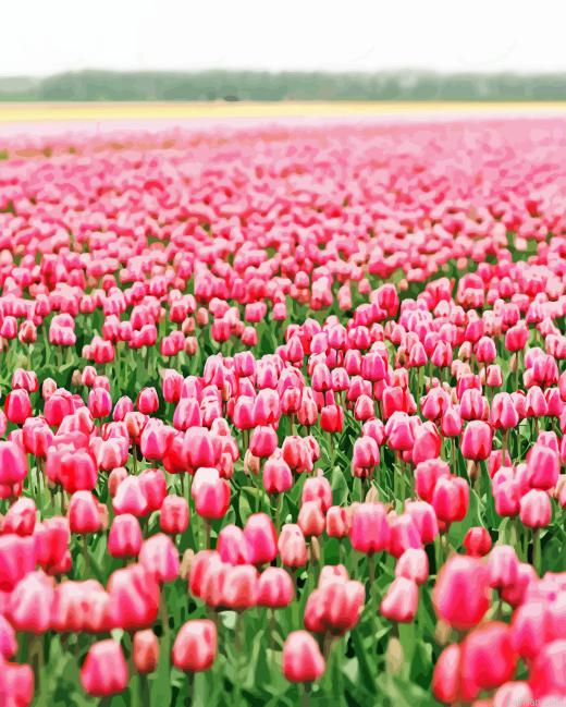Pink Field Paint By Numbers.png