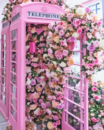 Pink Flower Phone Box Paint By Numbers.png