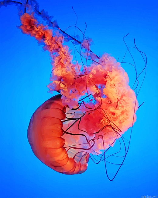 Pink Jellyfish New Paint By Number.png