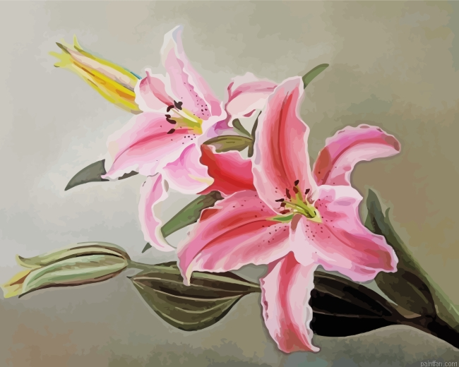 Pink Lilies Paint By Number.png