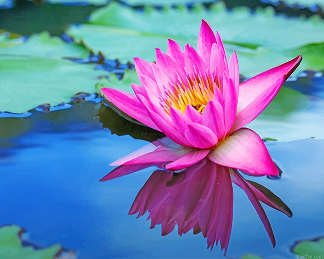 Pink Lotus New Paint By Numbers.png