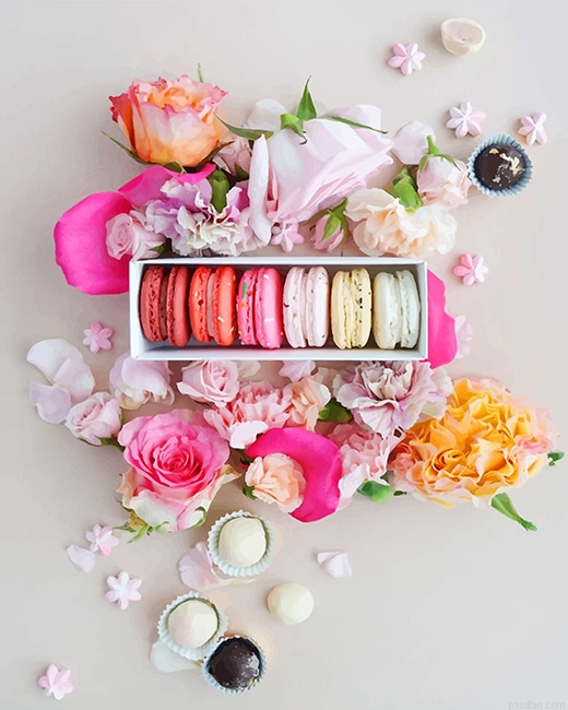 Pink Macarons With Flowers New Paint By Number.png