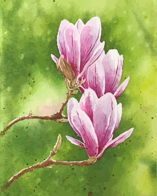 Pink Magnolias Paint By Numbers.png