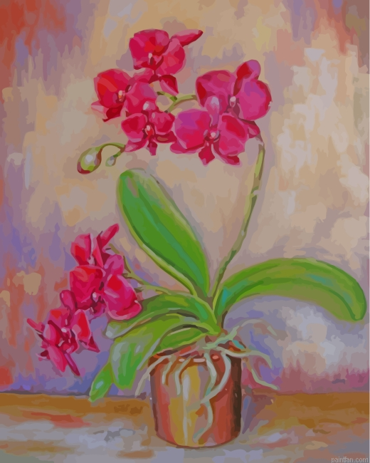 Pink Orchid Flower Paint By Number.png
