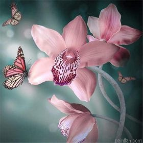 Pink Orchid Paint By Numbers.png