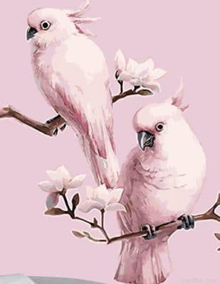 Pink Parrot Paint By Numbers.png