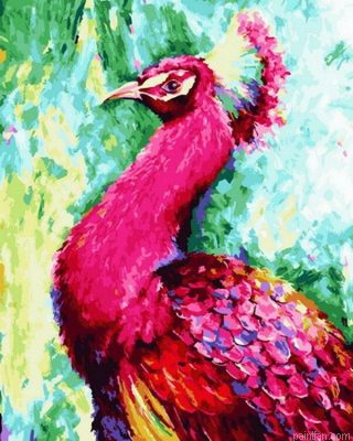 Pink Peacock Paint By Numbers.png