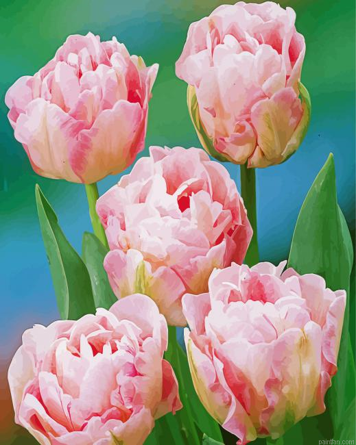 Pink Peony Tulip Flowers Paint By Numbers.png