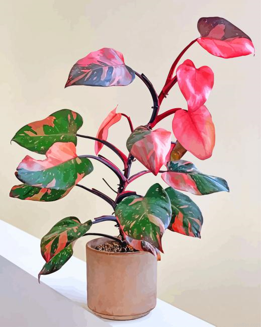 Pink Philodendron Paint By Number.png