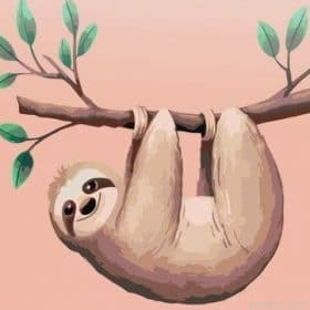 Pink Sloth Paint By Numbers.png