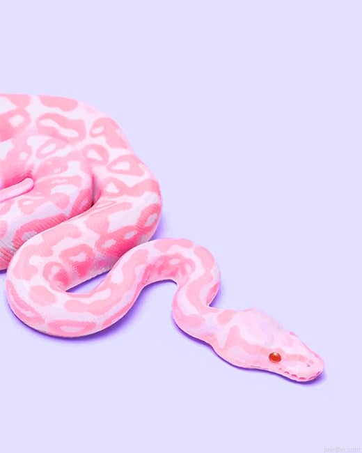 Pink Snake New Paint By Numbers.png