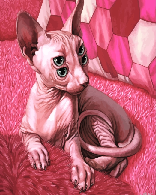 Pink Sphinx Paint By Number.png
