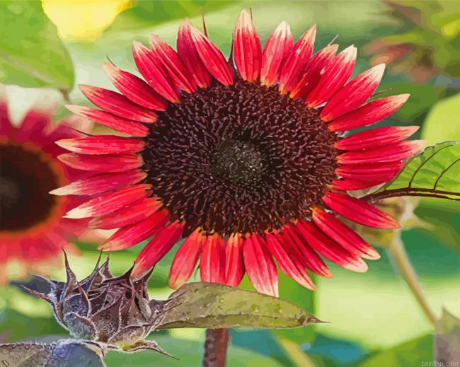 Pink Sunflower Paint By Numbers.png