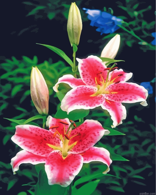 Pink Tiger Lilies Paint By Number.png