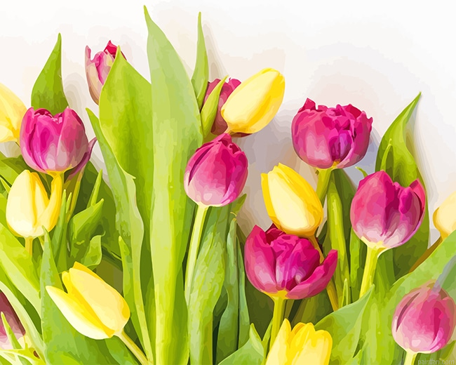 Pink Yellow Flowers New Paint By Numbers.png