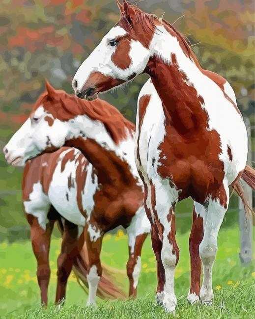 Pinto Horses Paint By Numbers.png