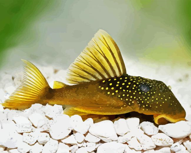 Pleco Fish Paint By Numbers.png