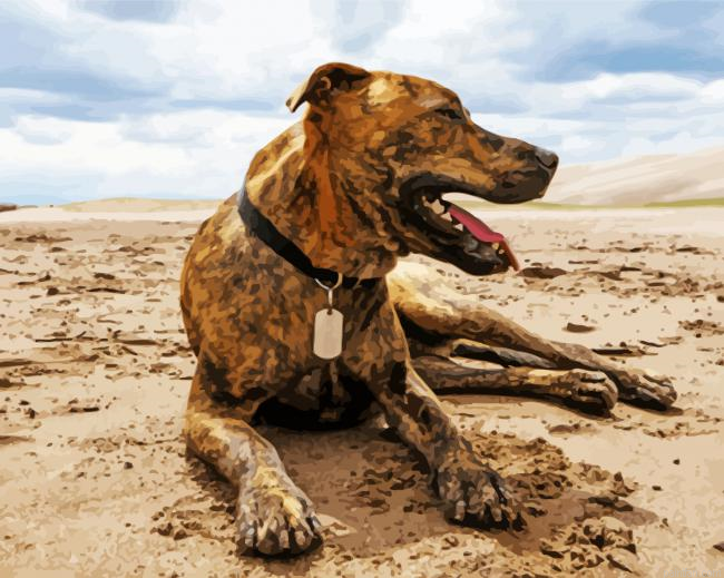 Plott Hound Paint By Numbers.png