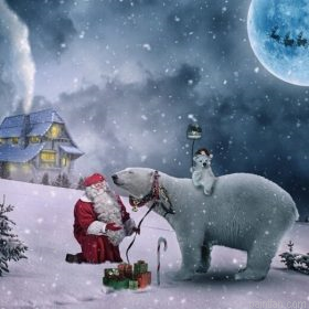 Polar Bears And Santa Claus Paint By Numbers.png