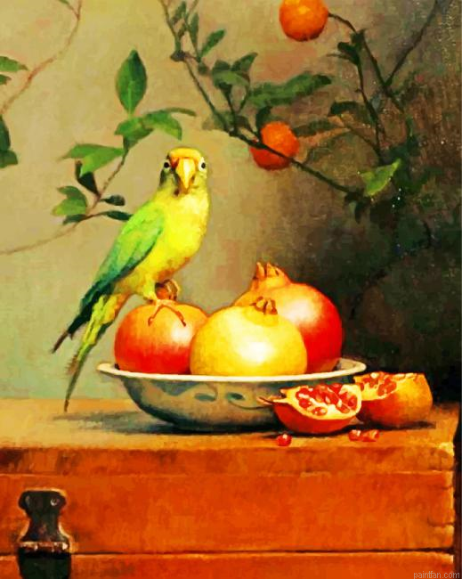 Pomegranate And Parrot Paint By Numbers.png